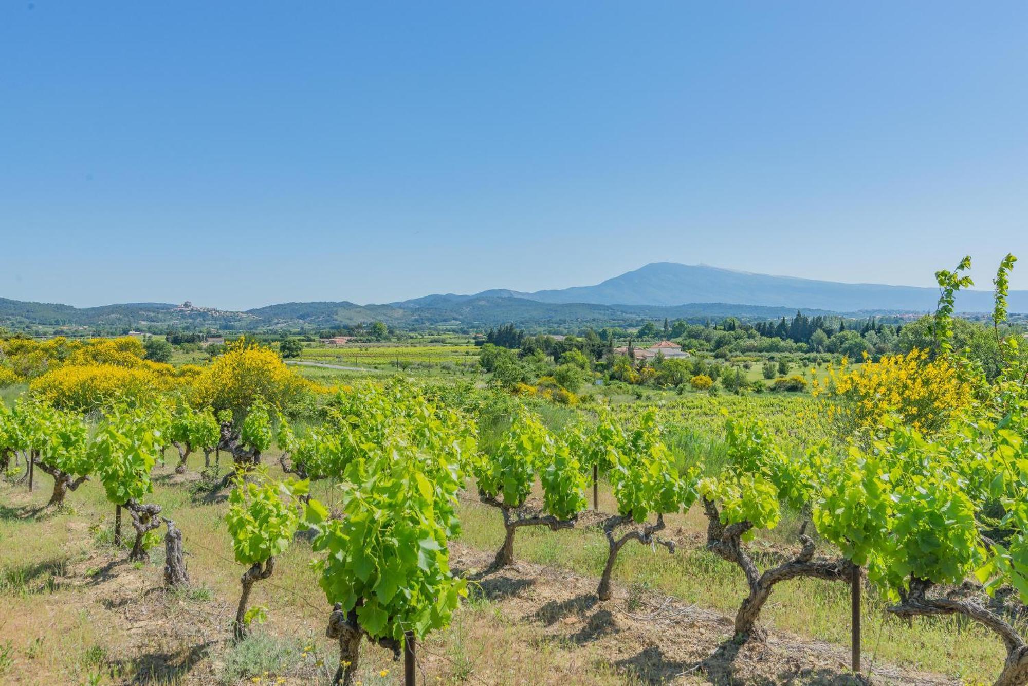 Domaine Purviti Villa Beaumes-de-Venise Exteriör bild